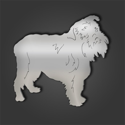 Brussels griffon style - brussels,