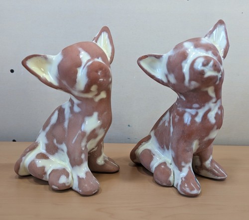 Pair chihuahua puppy - of, dog