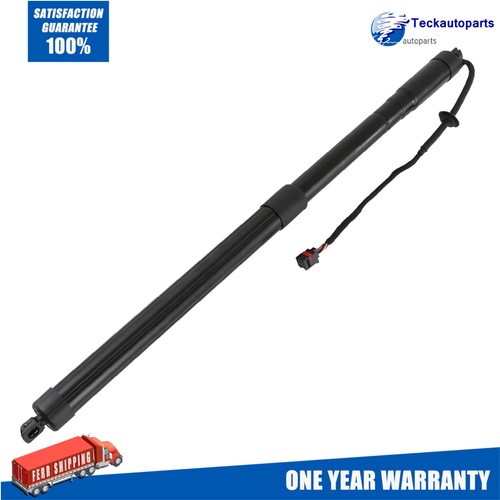 Tailgate gas strut electric - tailgate,