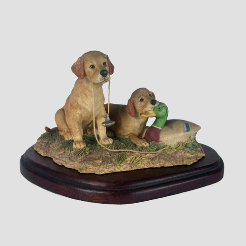 Labrador pup with decay - , duck