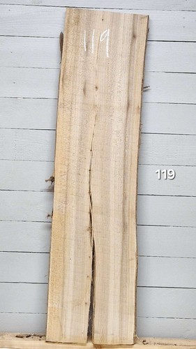Elm live edge timber - live, x