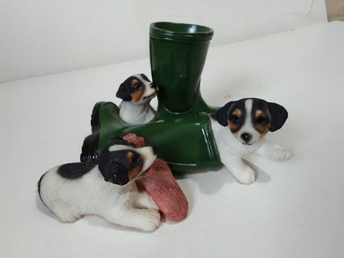 Jack russell terriers - jack,