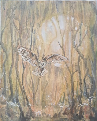 Barn owl woodland - in,