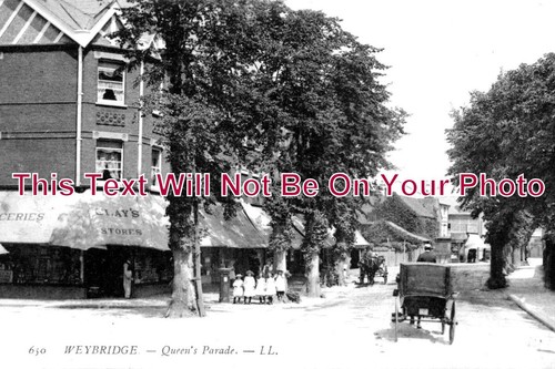 2402 queens parade - su,