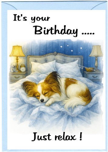 Papillon butterfly dog x - papillon,