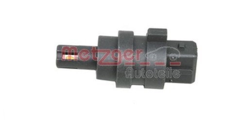 Metzger intake air temperature - metzger,