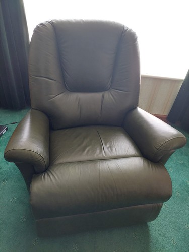 Dual motor green leather riser - dual,