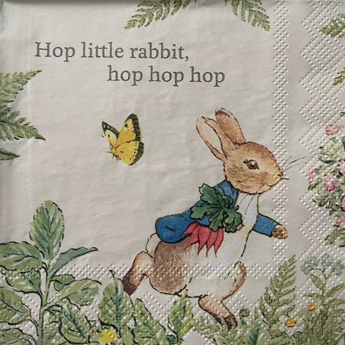 Peter rabbit 25x25cm - 2,