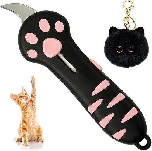 2026 cat paw box - paw,