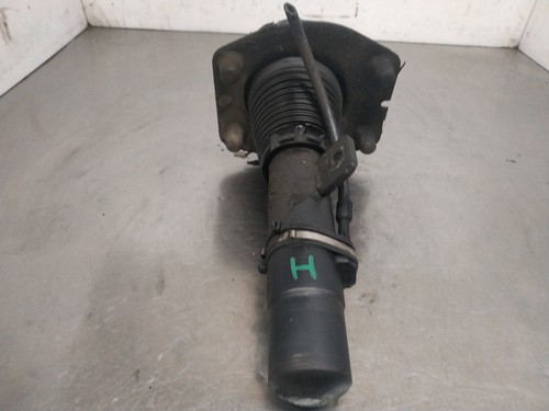 Front shock absorber - front,
