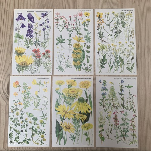 Vintage 1974 botanical book - 1974,