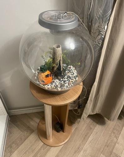 Biorb 105l round acrylic fish - biorb,