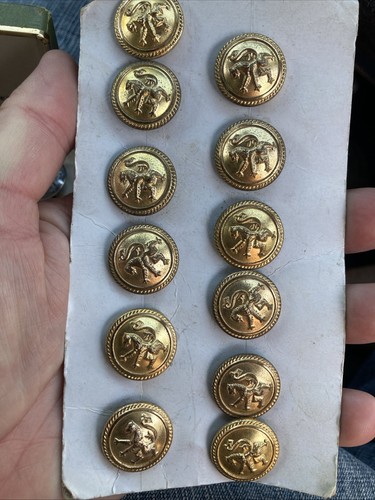 Vintage military lion crest - vintage,