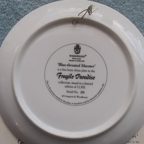 Wedgwood fragile paradise - wedgwood,