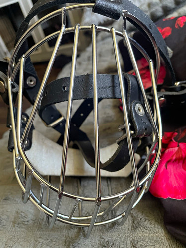 Metal wire basket dog - metal, muzzle