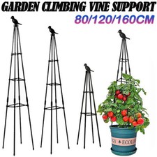 Outdoor Garden Metal Climbing