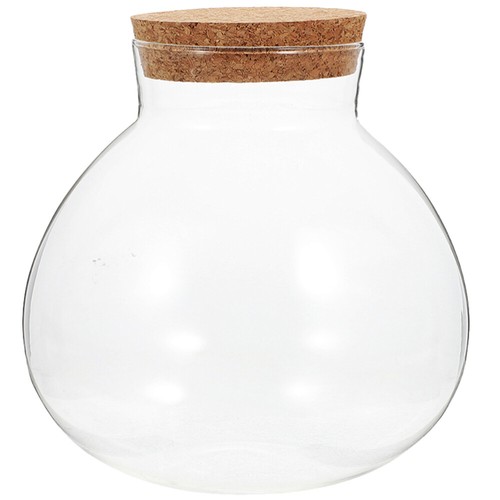 Terrarium jar bowl with - with, lid