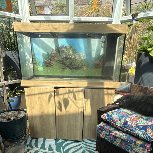 Juwel rio 240 - 240, aquarium