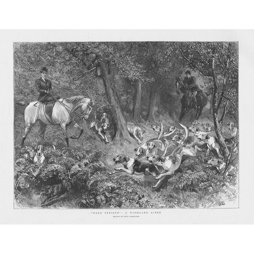 Hard pressed woodland - hard,