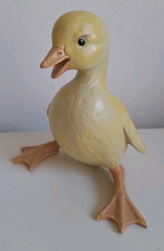 Garden cute chick duck bird - garden,