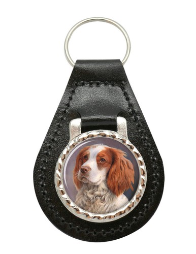 Welsh springer spaniel leather - springer,