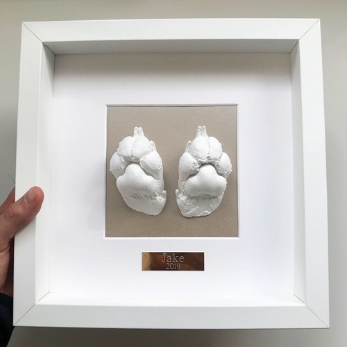 Paw casting kit and frame - casting,