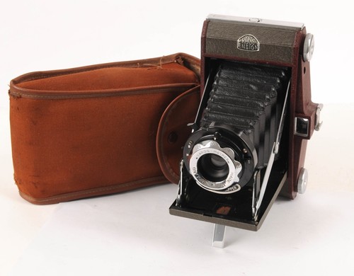 Ross ensign selfix snapper - ensign,