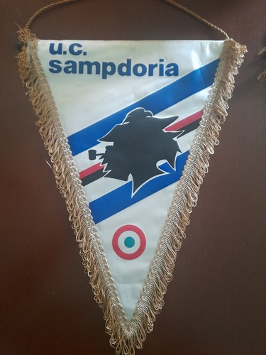 Vintage pennant - pennant, '80