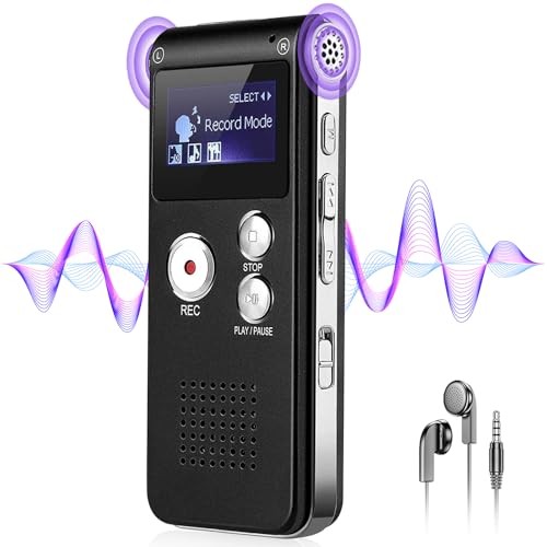 Voice recorder with noise - voice,