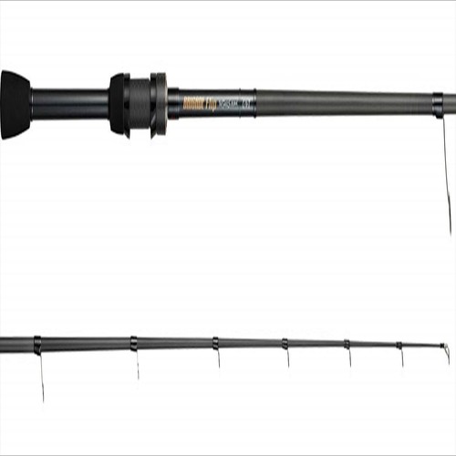 Tenryu spinning rod - spinning,