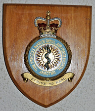 Princess Mary's Royal Air