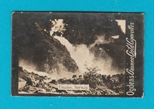 OGDENS GUINEA GOLD - LOTEFOS