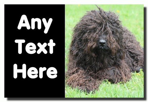 Barbet dog personalised jumbo - dog,