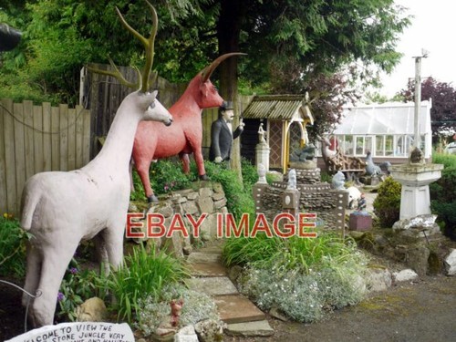 Photo the cement menagerie - ,