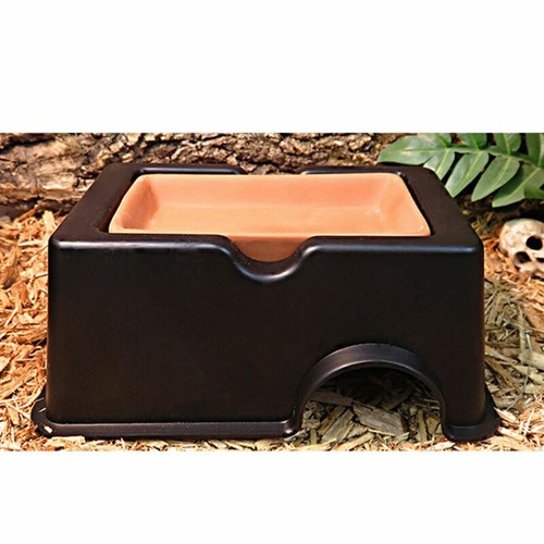 Pet reptile hide cave - cave, lizard