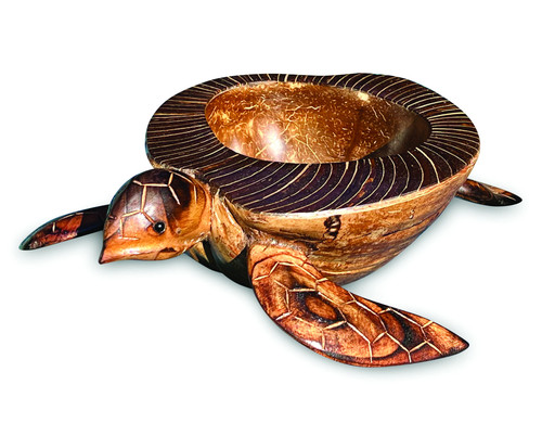 Natural turtle coconut - turtle, shell