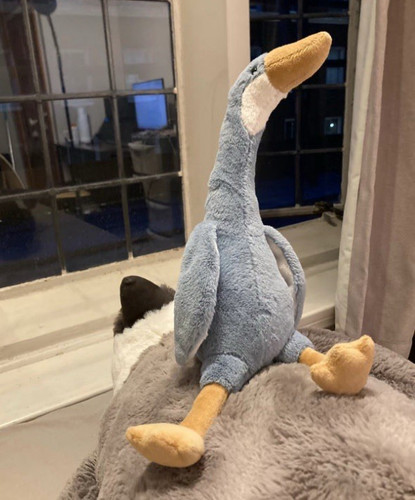 New with tags jellycat 27cm - new,