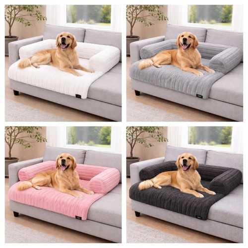 Cat dog pet - cat, or