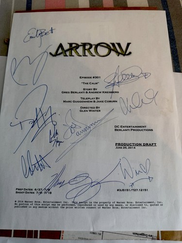 Real autographed arrow - arrow, cast