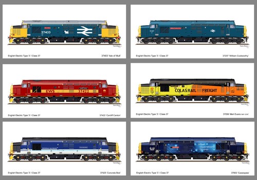 Pack class 37 - pack, 6