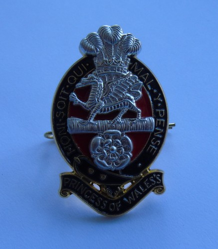 Princess wales royal - princess, of