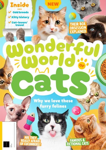Wonderful world cats - wonderful,