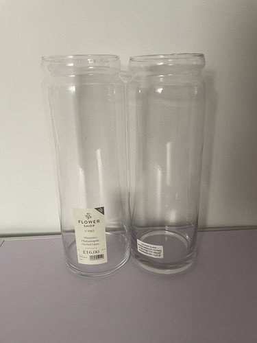 Large glass vases - large,