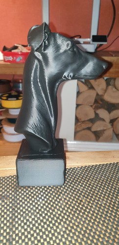Whippet bust competition - bust, or