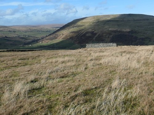 Photo 6x4 sheep shelter - photo,