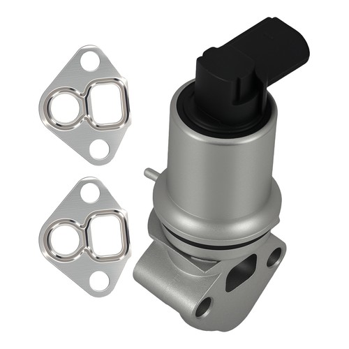 Egr valve for seat cordoba - for,