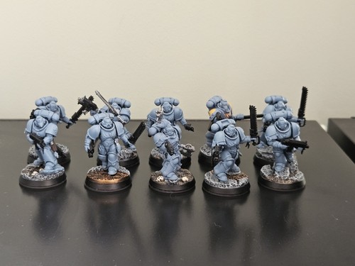 Space wolves primaris grey - space,
