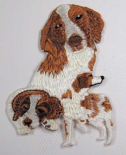 Brittany spaniel dog heat - brittany,