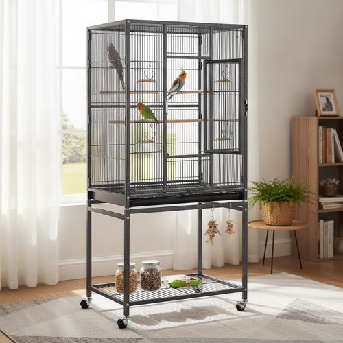 Spacious black bird cage with - bird,