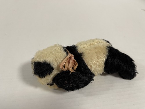Old steiff teddy bear - old,